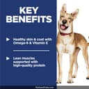 Nutro Ultra Adult Dry Dog Food thumbnail 4