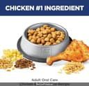 Blue Buffalo Life Protection Formula thumbnail 4