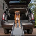 PetSafe Happy Ride Extra Long Telescoping Dog Ramp thumbnail 3