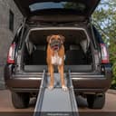PetSafe Happy Ride Extra Long Telescoping Dog Ramp thumbnail 1