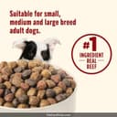 Diamond Naturals Adult Dog Chicken & Rice thumbnail 6
