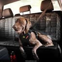 EzyDog Drive Safety Travel Dog Car Harness thumbnail 4