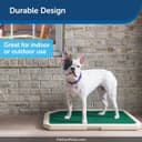 PetSafe Piddle Place thumbnail 6
