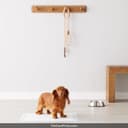 Amazon Basics Dog and Puppy Pee Pads thumbnail 6