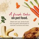 CANIDAE PURE Limited Ingredient Salmon & Sweet Potato thumbnail 5