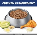 Merrick Grain Free Real Texas Beef & Sweet Potato thumbnail 6