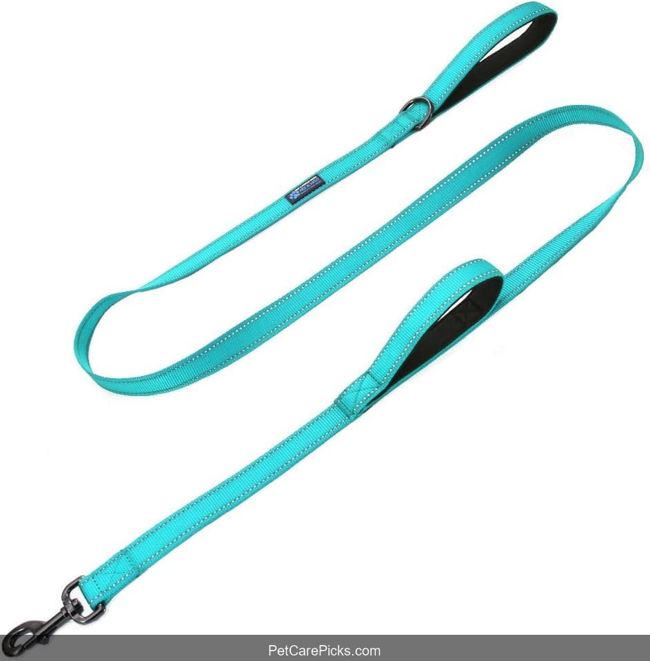 Max and Neo Double Handle Leash - Image 1