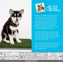 PETMAKER Artificial Grass Pad thumbnail 6
