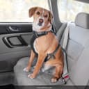 Ruffwear Load Up Vehicle Restraint Harness thumbnail 3