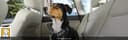 Ruffwear Load Up Vehicle Restraint Harness thumbnail 4