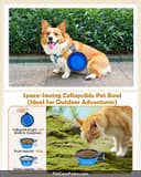 Purina Pro Plan Sensitive Skin & Stomach thumbnail 3