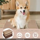 Paw Legend Washable Reusable Dog Pee Pads thumbnail 6