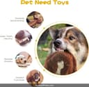 IAMS Proactive Health Indoor thumbnail 2