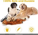 IAMS Proactive Health Indoor thumbnail 3