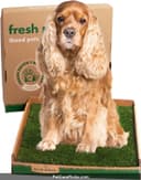 Fresh Patch Real Grass thumbnail 1