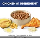 Purina Pro Plan Complete Essentials Chicken & Rice thumbnail 3