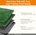 LOOBANI Dog Grass Pad with Tray thumbnail 2