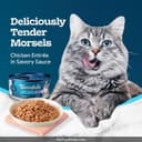 Fancy Feast Classic Pate Variety Pack thumbnail 4
