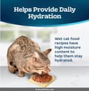 Fancy Feast Classic Pate Variety Pack thumbnail 6