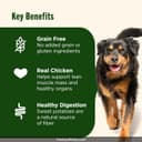 IAMS Proactive Health Adult MiniChunks thumbnail 5