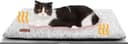 IAMS Proactive Health Puppy thumbnail 1