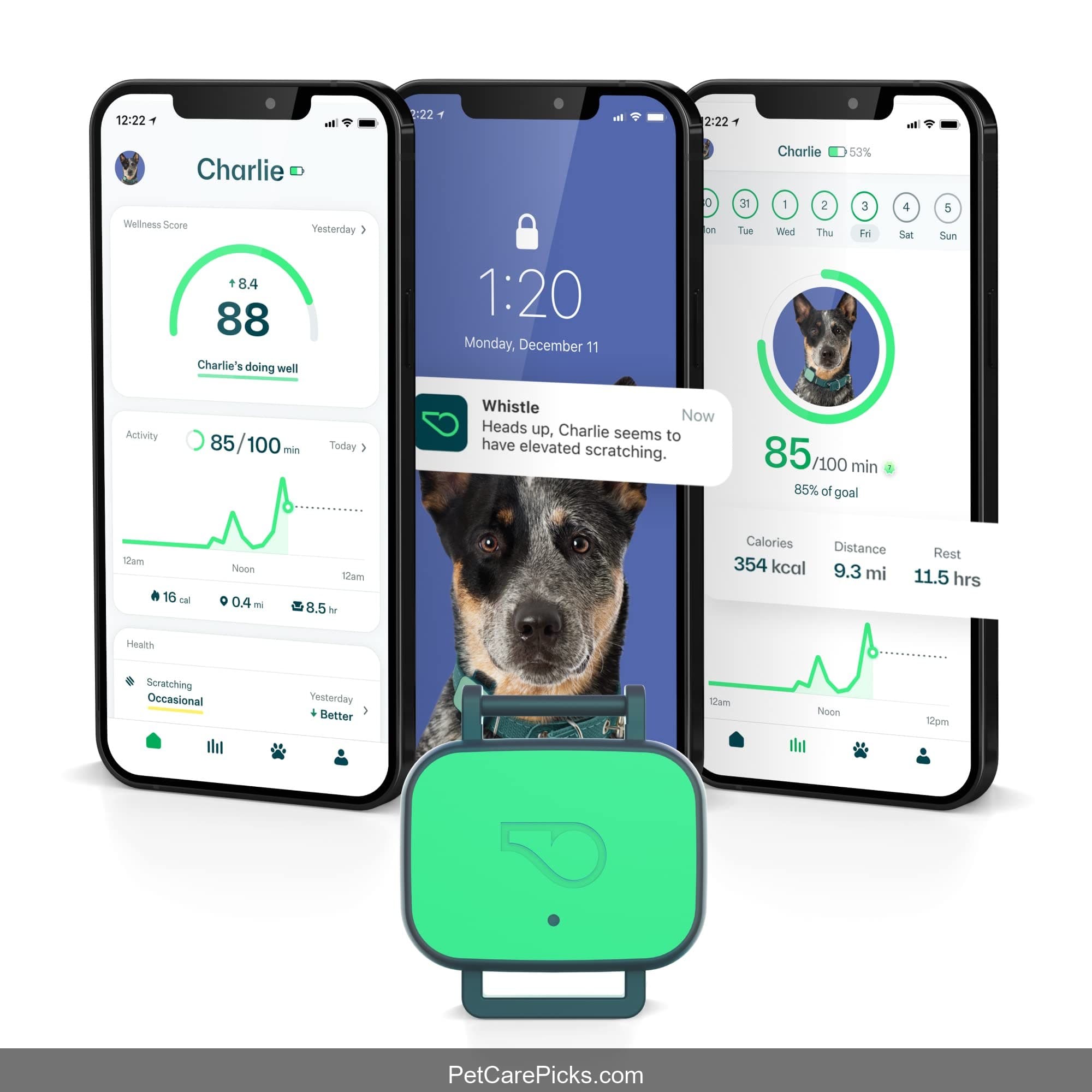 Whistle Health & GPS+ Smart Tracker - Image 1