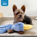 Diamond Naturals Large Breed thumbnail 5