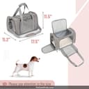 Hill's Science Diet Small Paws thumbnail 2