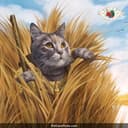 IAMS Proactive Health thumbnail 2