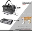 IAMS Proactive Health Healthy Weight thumbnail 2