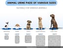 Sunheir Washable Pee Pads thumbnail 6