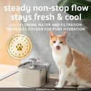 Purina Pro Plan Puppy thumbnail 6