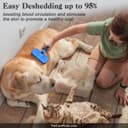 Wellness Complete Health Puppy thumbnail 5