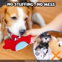 Purina Pro Plan Large Breed thumbnail 6