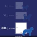 Scott Pet Guard Dog Pads thumbnail 2