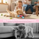 Wellness Complete Health Large Breed thumbnail 5