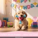 Wellness Complete Health Large Breed thumbnail 7
