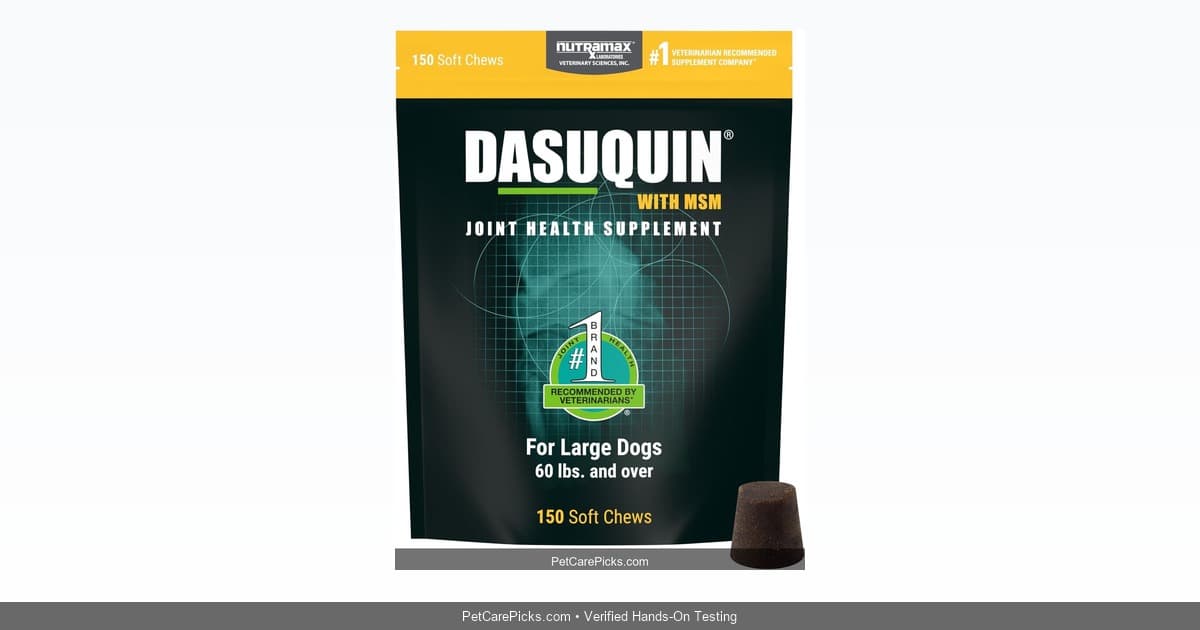 Nutramax Dasuquin with MSM Review 2026: The Gold Standard Joint Chew