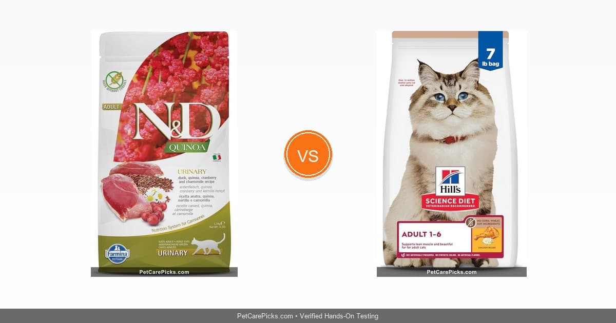 Best Dry Cat Food Compared 2026 - Top 6 Brands for Feline Health