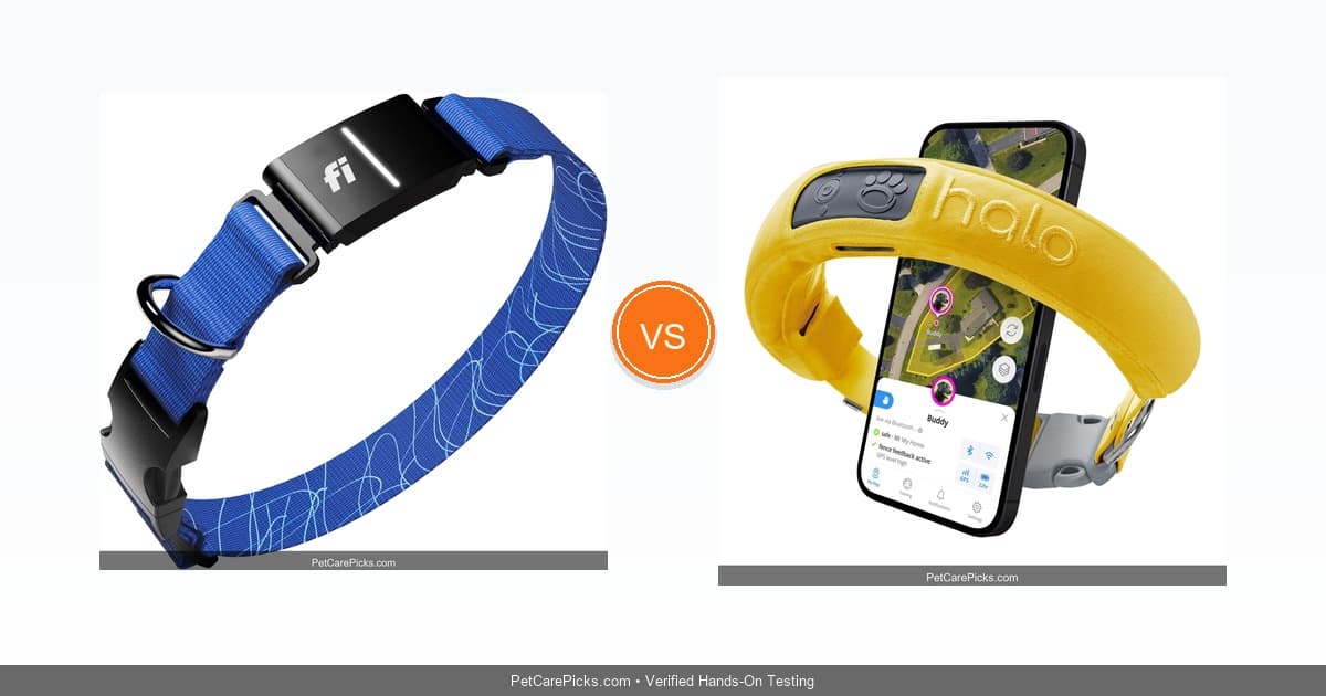 Best GPS Dog Collar & Tracker Compared 2026 - Top 5 Live Trackers Tested