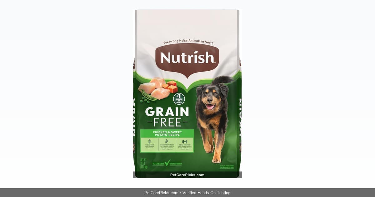 IAMS Proactive Health Adult Dog Food Review - Best Budget Option 2026