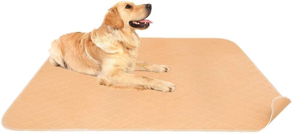 Mihachi Washable Pee Pads for Dogs - Image 1