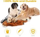 IAMS Proactive Health Indoor thumbnail 3
