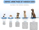 Sunheir Washable Pee Pads thumbnail 6