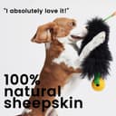 Hill's Science Diet Large Breed thumbnail 5