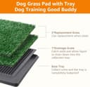LOOBANI Dog Grass Pad with Tray thumbnail 2