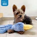 Diamond Naturals Large Breed thumbnail 5