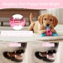 Wellness Complete Health Large Breed thumbnail 4