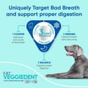 ORIJEN Original Grain-Free Dry Dog Food thumbnail 5