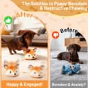 Blue Buffalo Life Protection Large Breed thumbnail 3